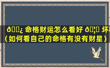 🌿 命格财运怎么看好 🦊 坏呢（如何看自己的命格有没有财星）